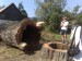 Orava 27.8.2011 035.jpg